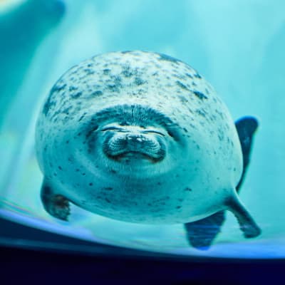 BEST ZOO &amp; AQUARIUM