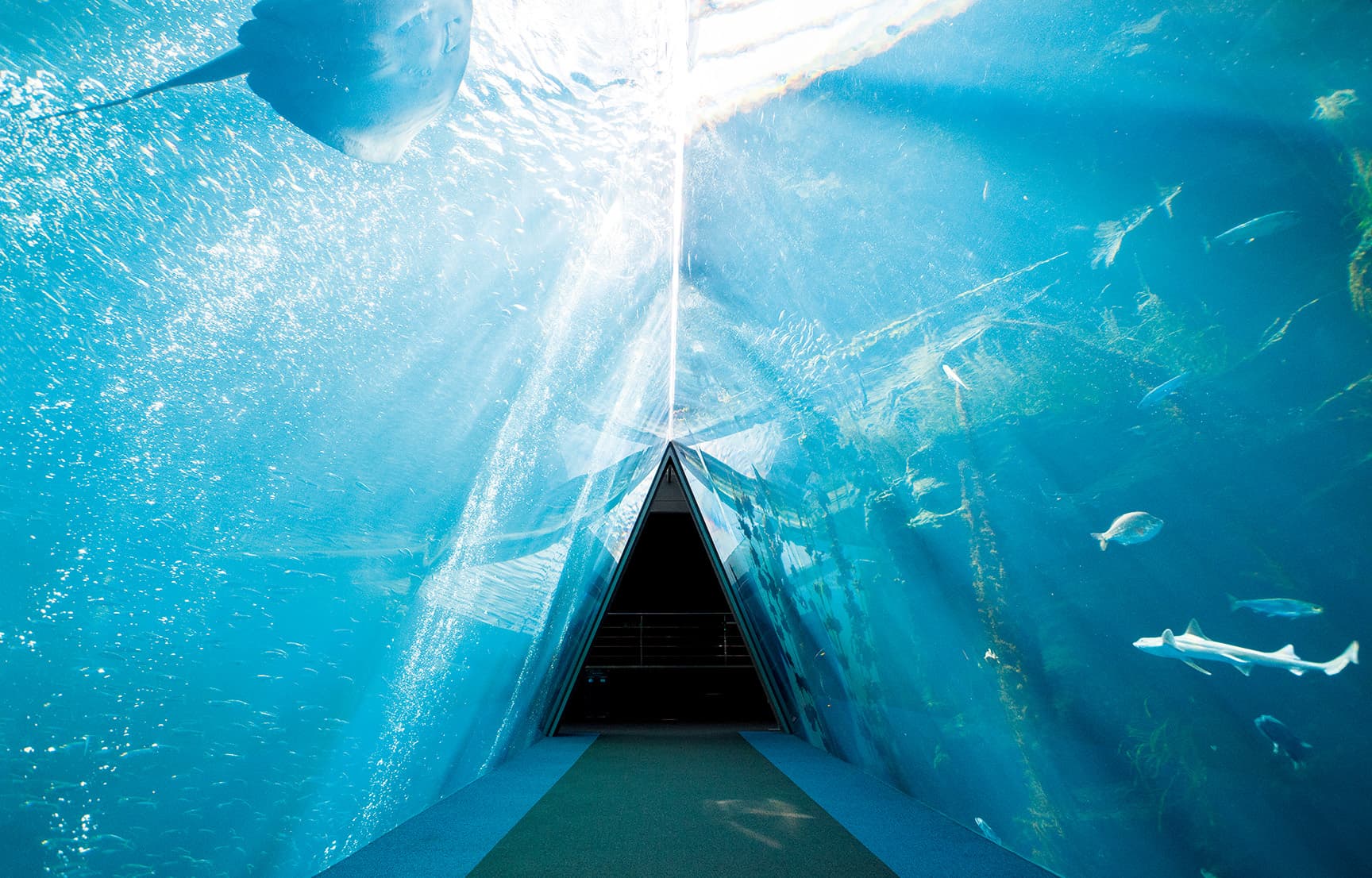 アクアマリンふくしま