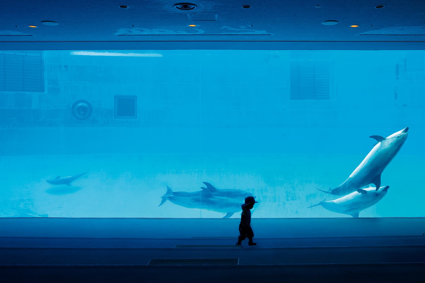 名古屋港水族館