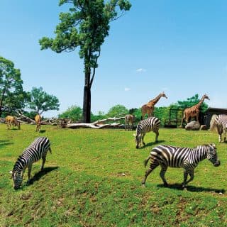 よこはま動物園ズーラシア