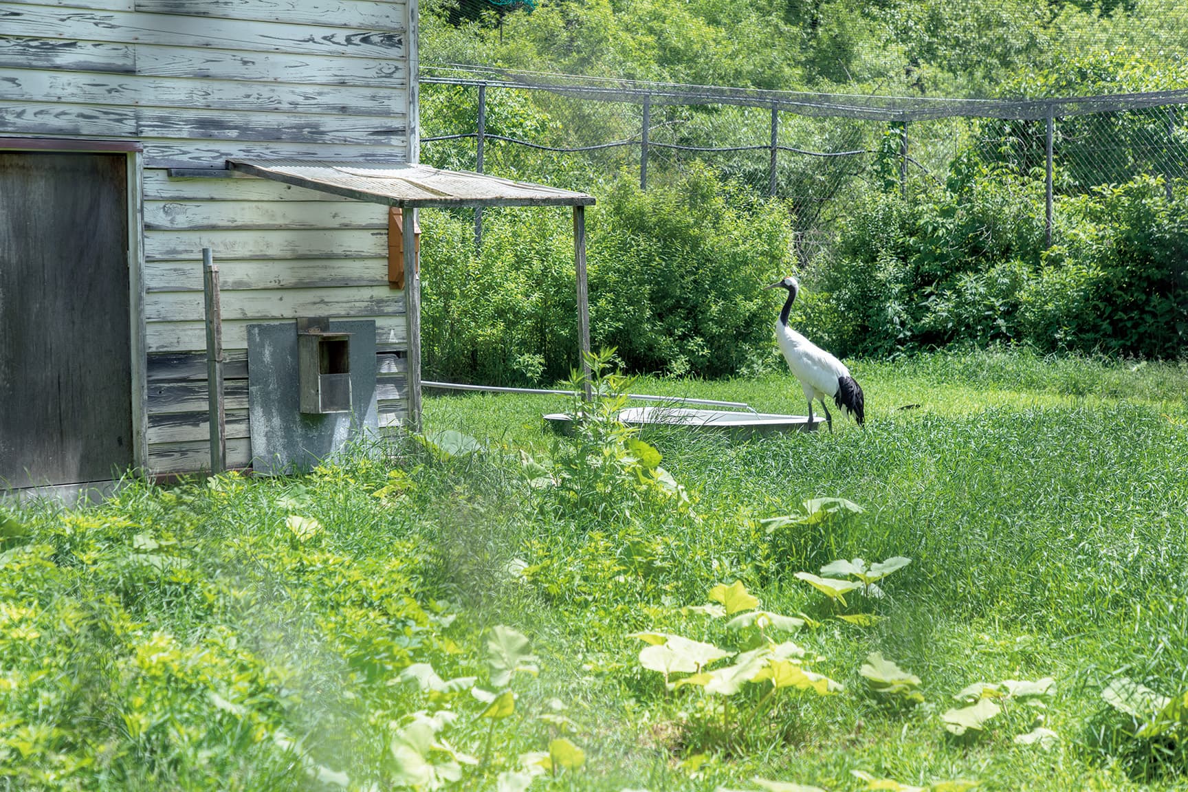 釧路市動物園