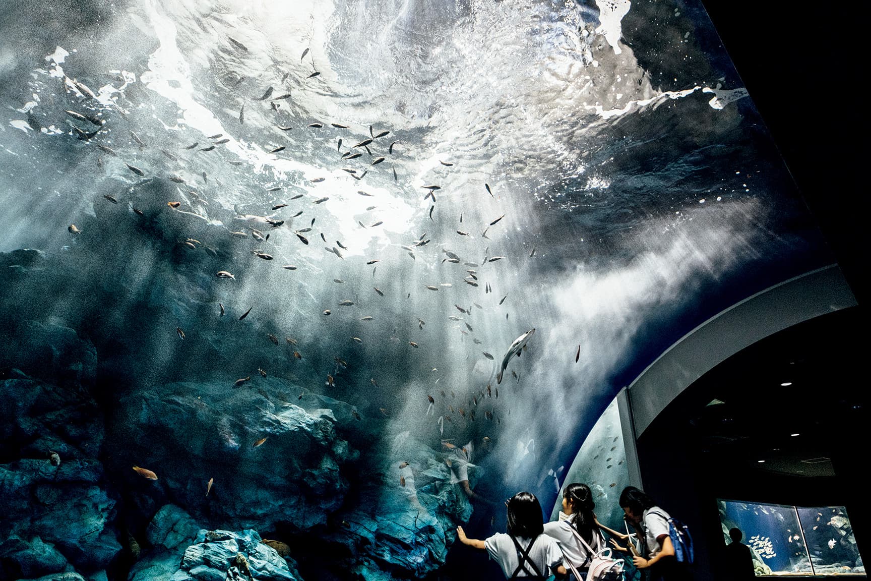 マリンワールド 海の中道