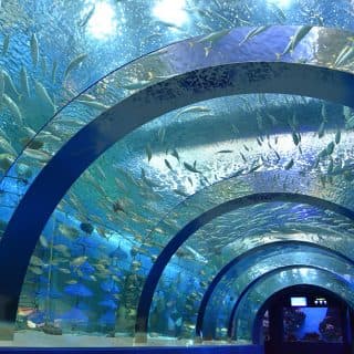 青森県営浅虫水族館