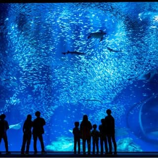アクアワールド茨城県大洗水族館