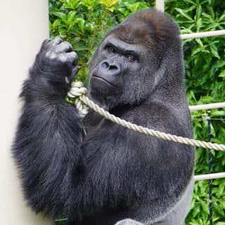 名古屋市東山動植物園