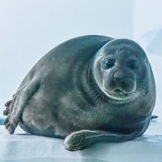 滋賀県立琵琶湖博物館