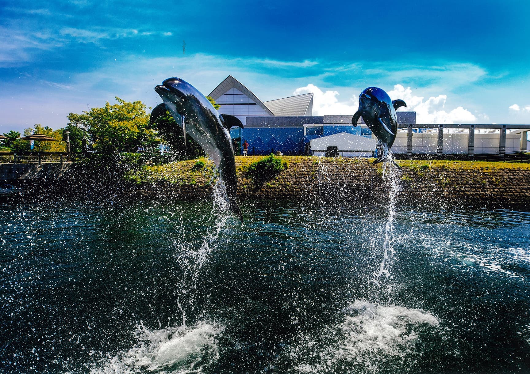 いおワールドかごしま水族館