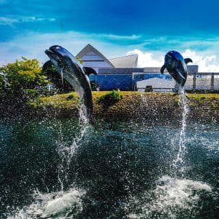 いおワールドかごしま水族館