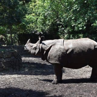 横浜市立金沢動物園