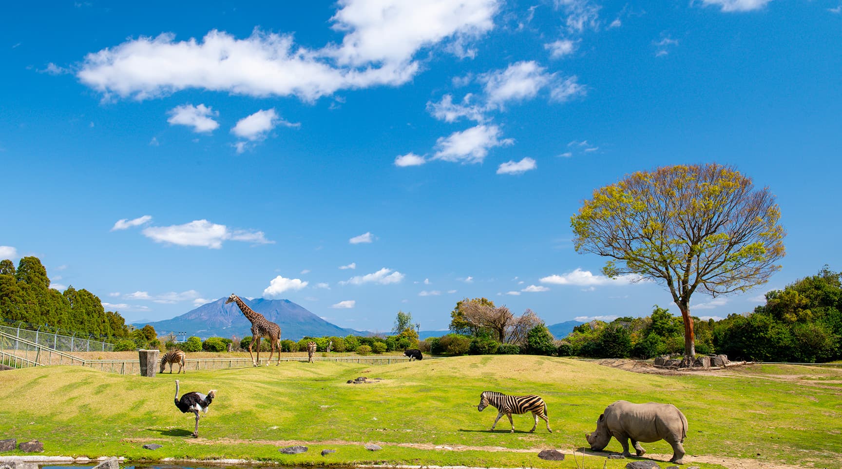 鹿児島市平川動物公園