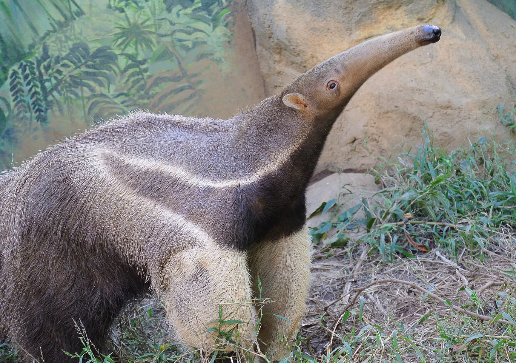江戸川区自然動物園