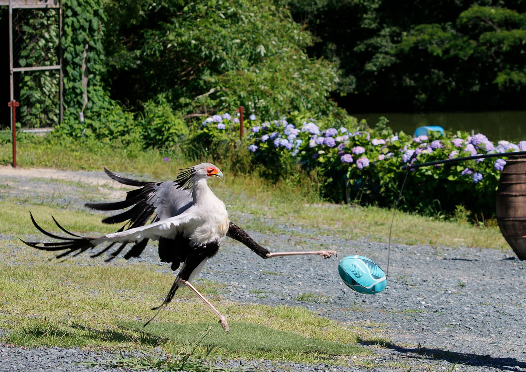 掛川花鳥園