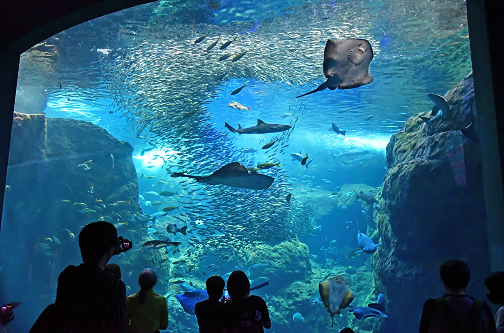 新江ノ島水族館