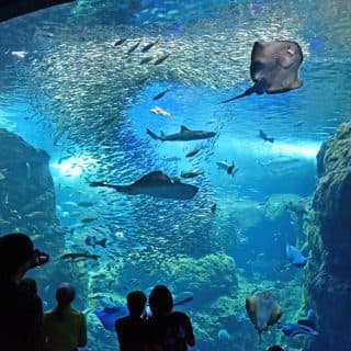 新江ノ島水族館