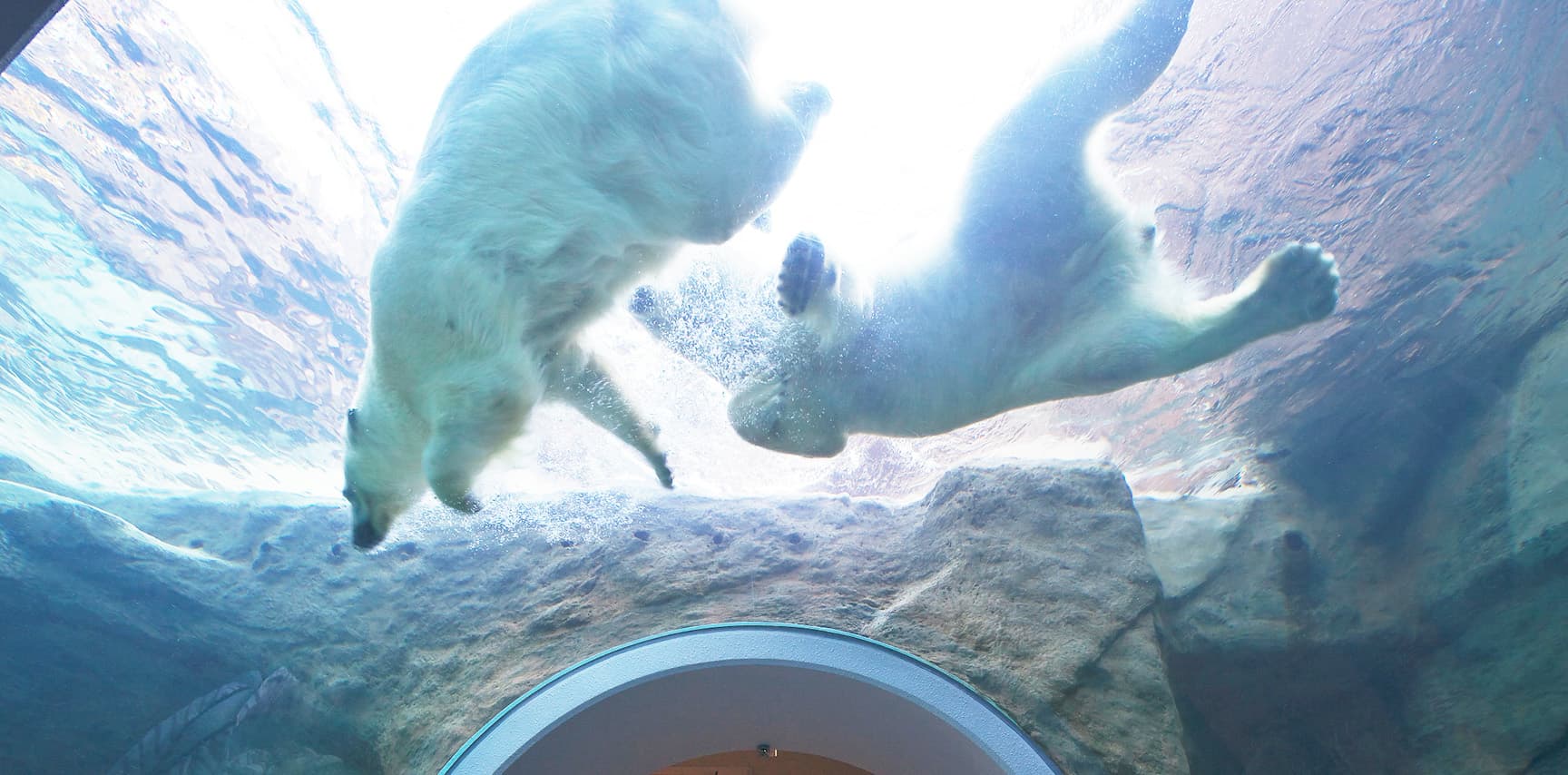 静岡市立日本平動物園