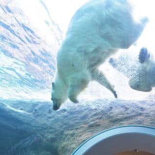 静岡市立日本平動物園