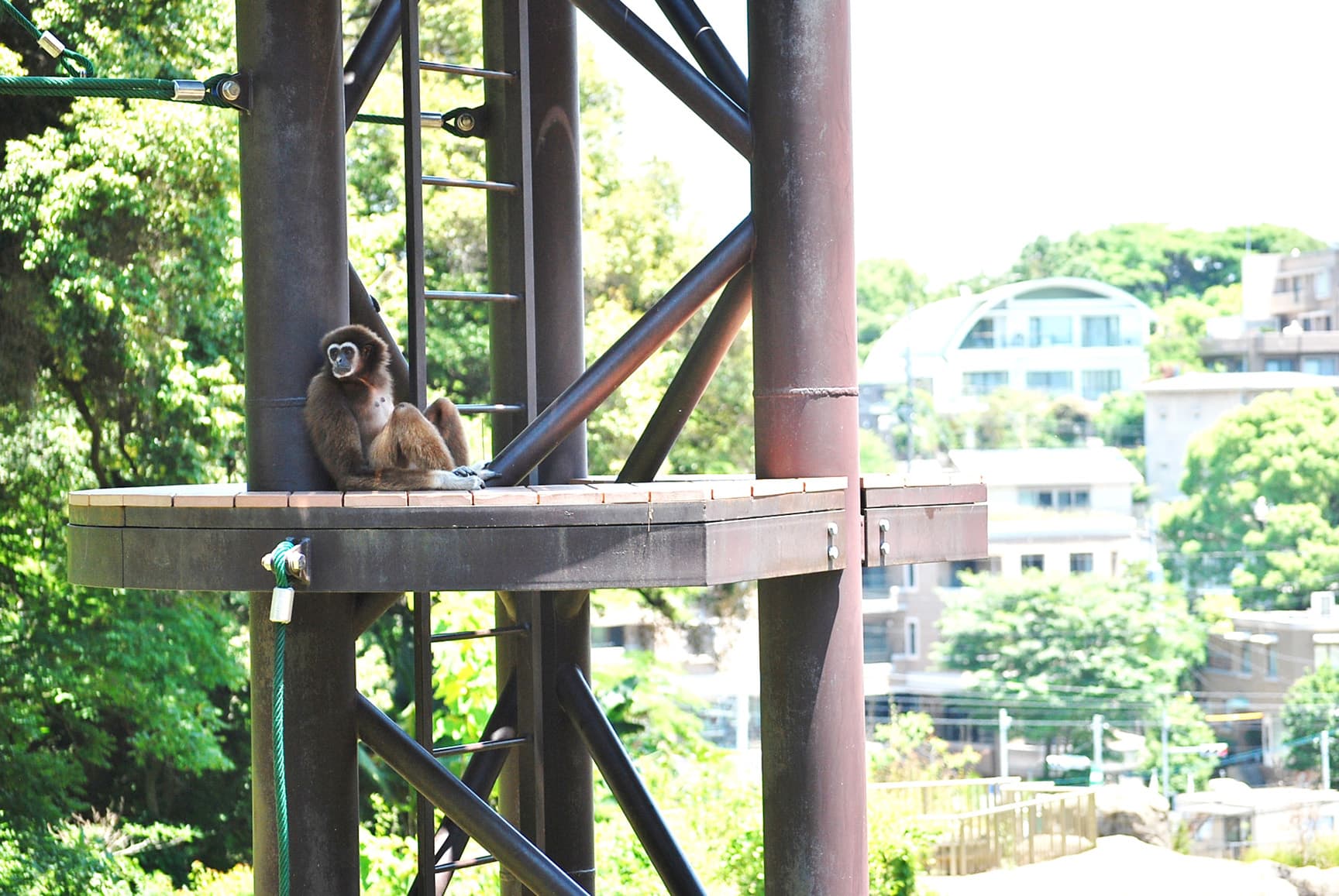 福岡市動物園