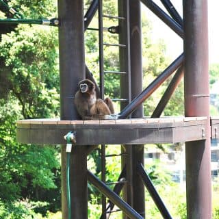 福岡市動物園