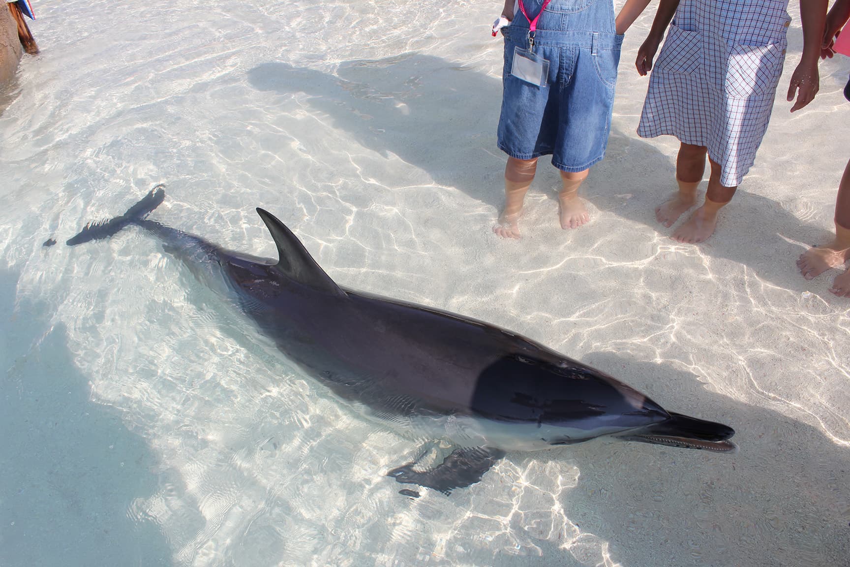 大分マリーンパレス水族館「うみたまご」