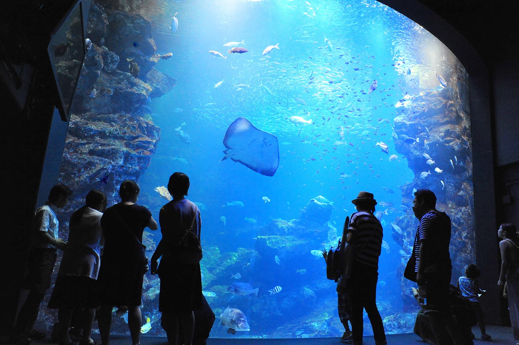 京都水族館