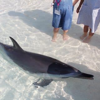 大分マリーンパレス水族館「うみたまご」