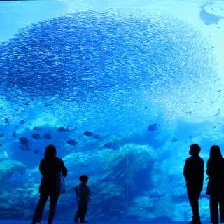 仙台うみの杜水族館
