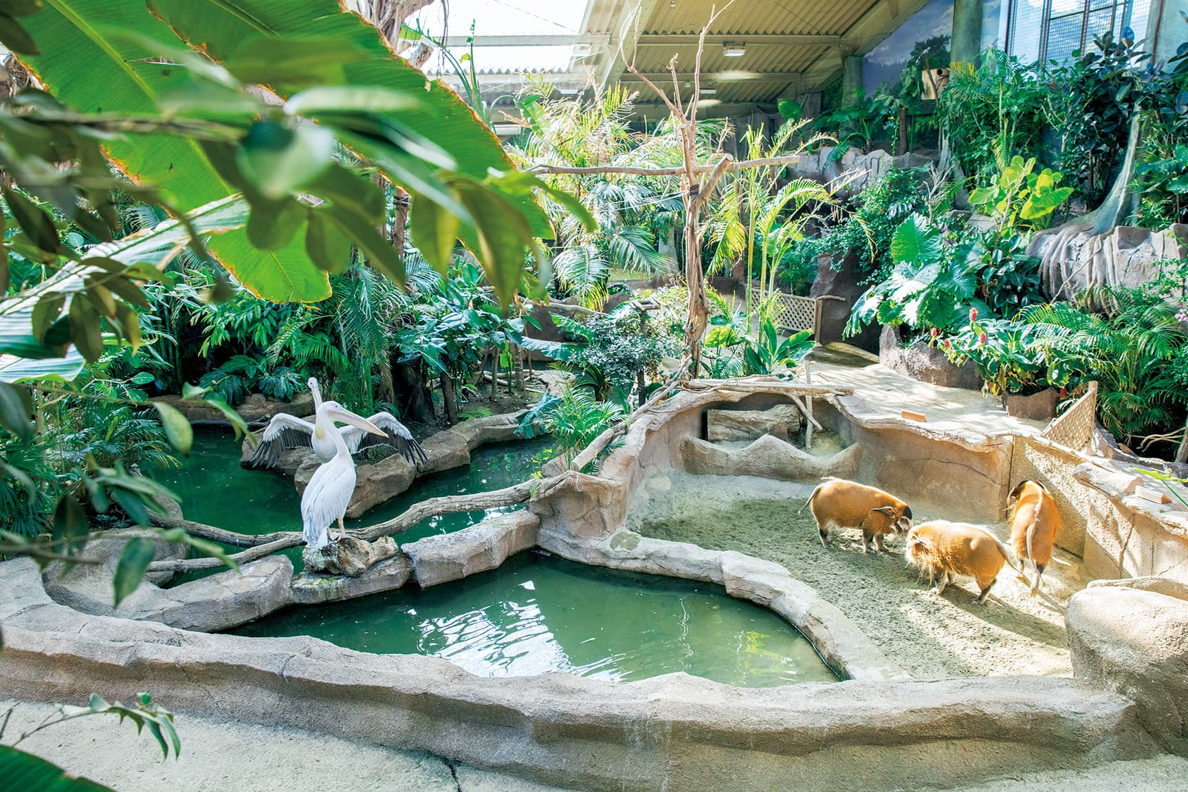 那須どうぶつ王国