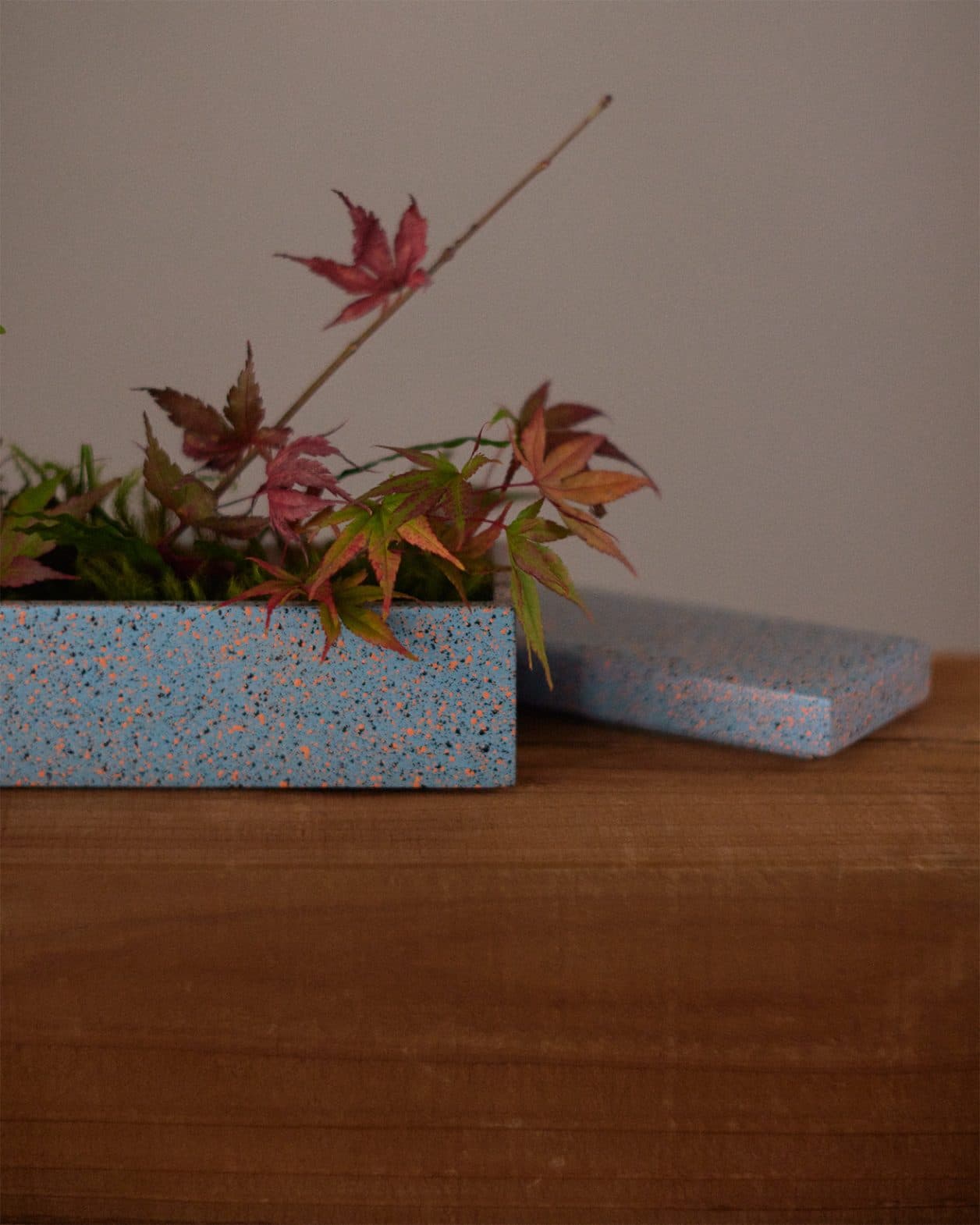 【今週の花と器】イロハモミジと〈MARUHIRO SPRAY〉の《長角蓋付き盛器》｜12月