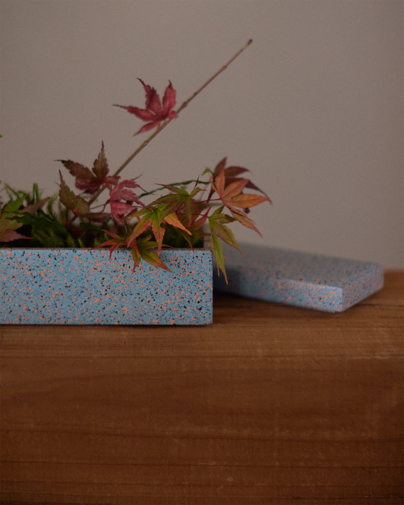 【今週の花と器】イロハモミジと〈MARUHIRO SPRAY〉の《長角蓋付き盛器》｜12月