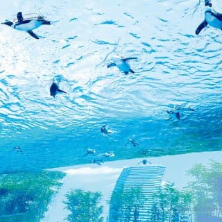サンシャイン水族館
