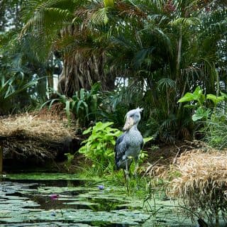 神戸どうぶつ王国