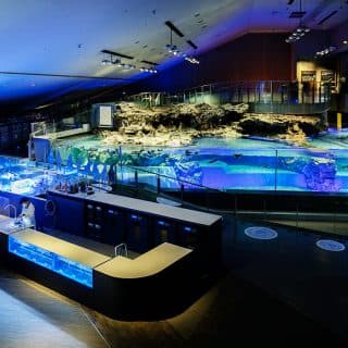 すみだ水族館