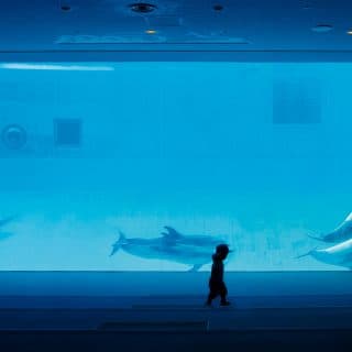 名古屋港水族館