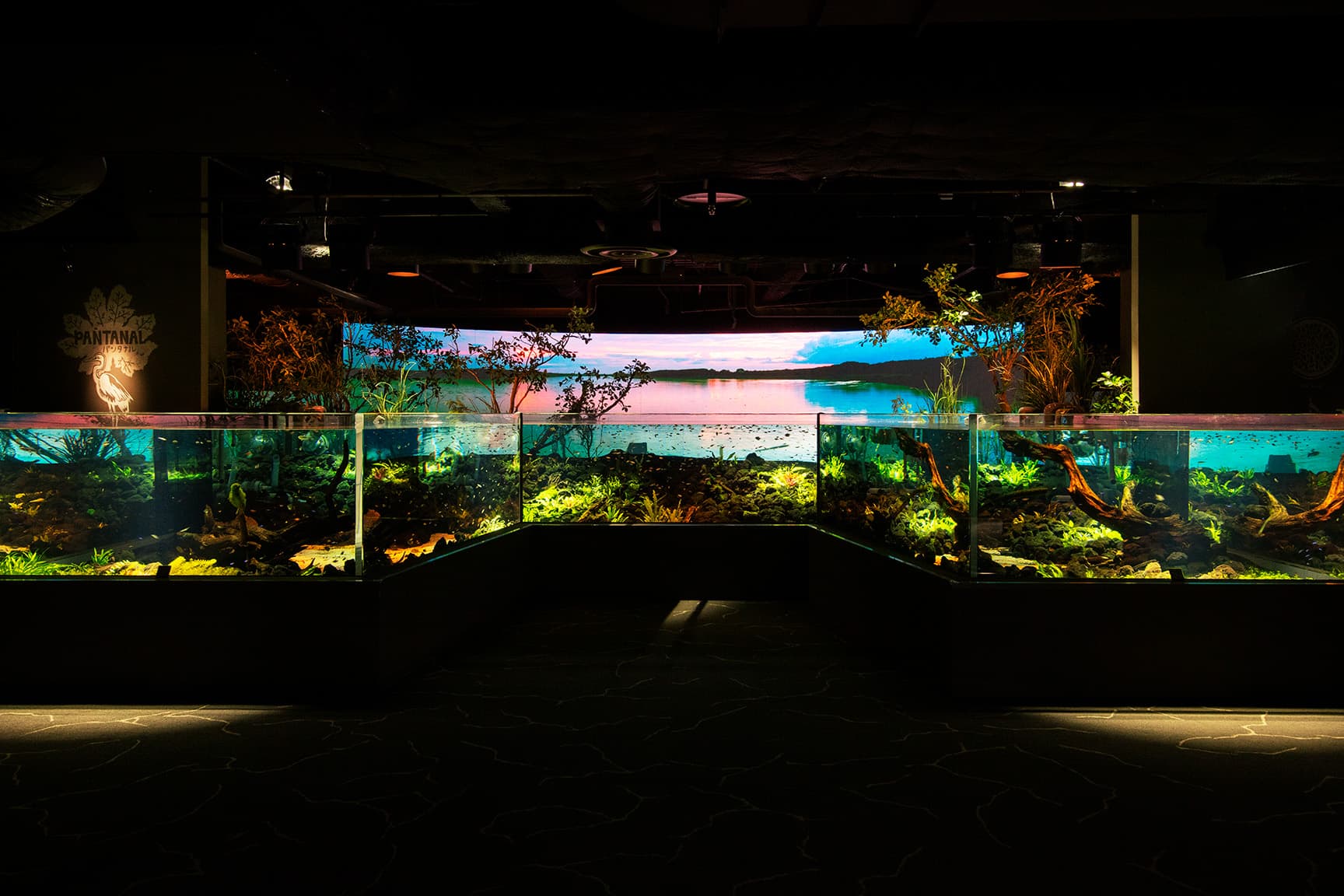 カワスイ 川崎水族館