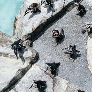 長崎ペンギン水族館