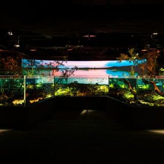 カワスイ 川崎水族館