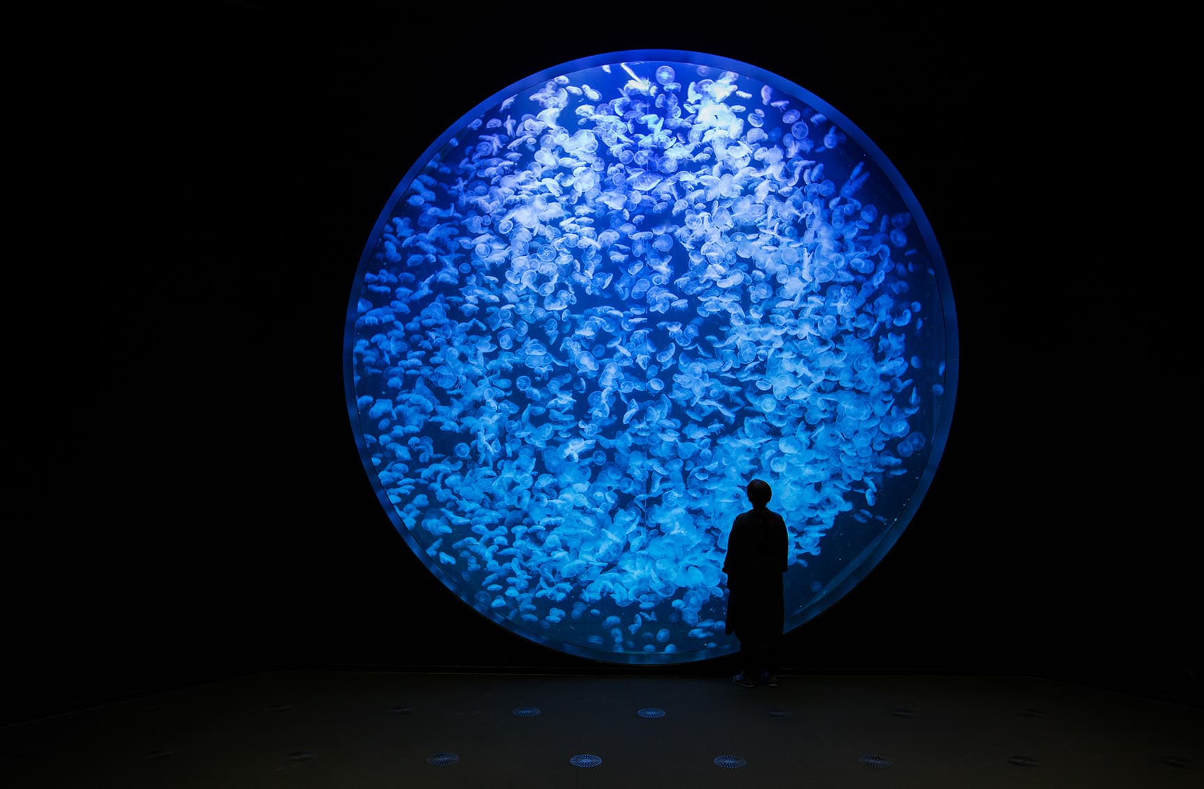 鶴岡市立加茂水族館