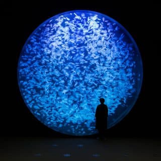 鶴岡市立加茂水族館