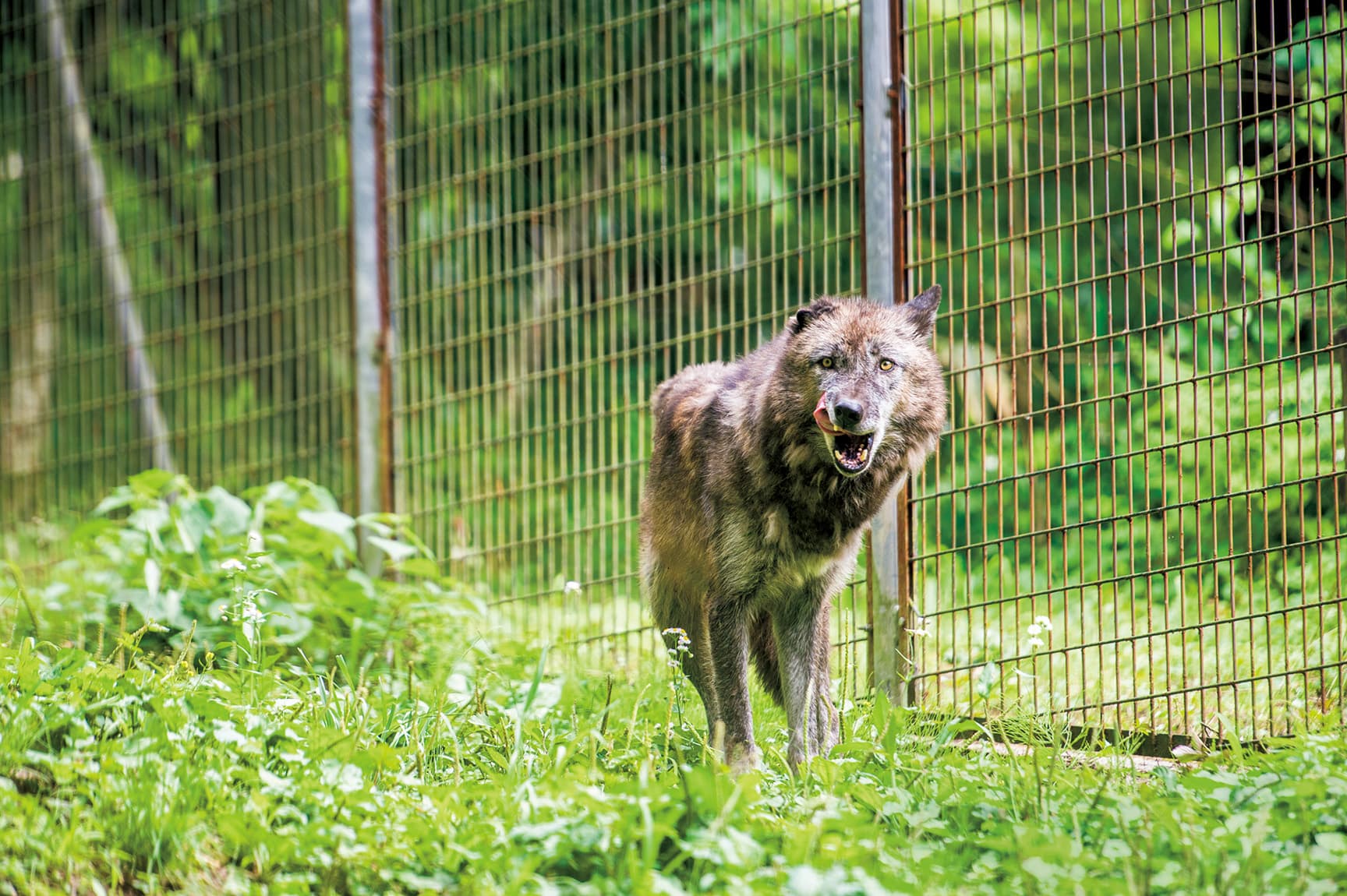 富山市ファミリーパーク