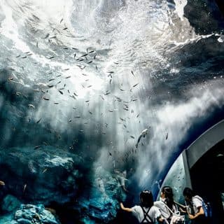 マリンワールド 海の中道