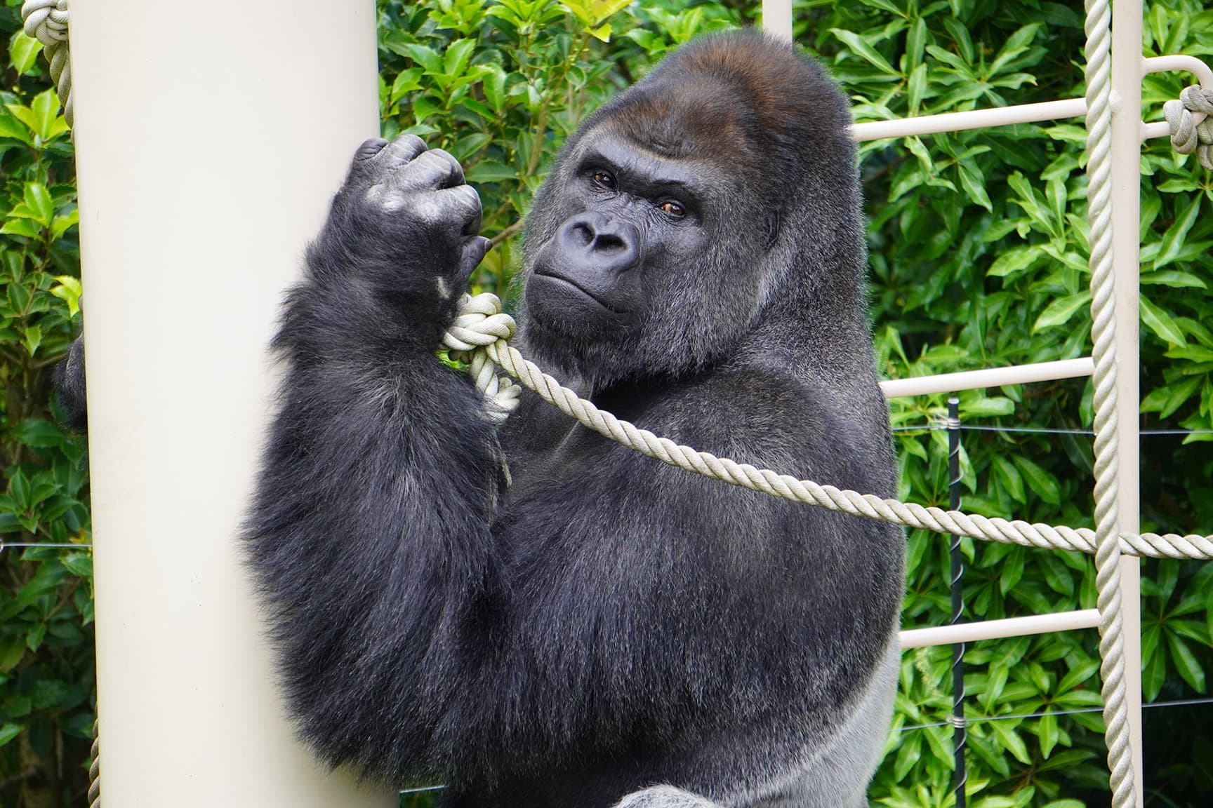名古屋市東山動植物園