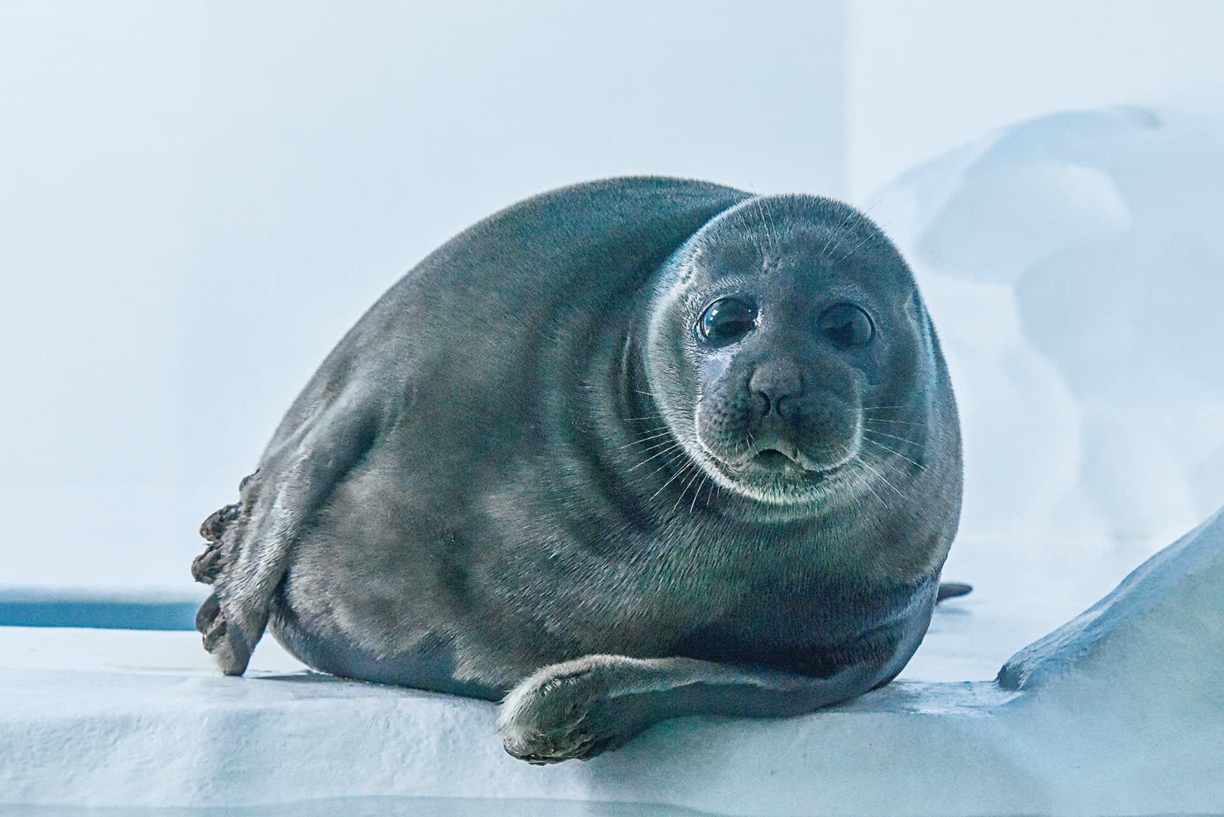 滋賀県立琵琶湖博物館
