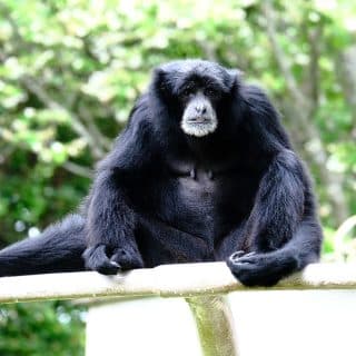 千葉市動物公園