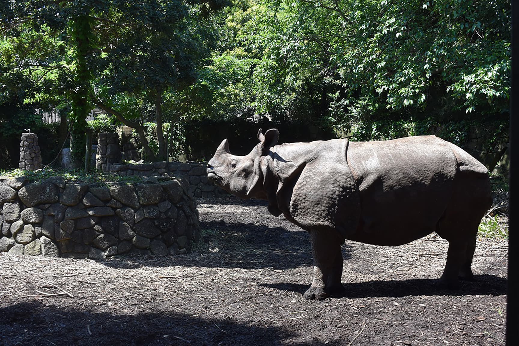 横浜市立金沢動物園