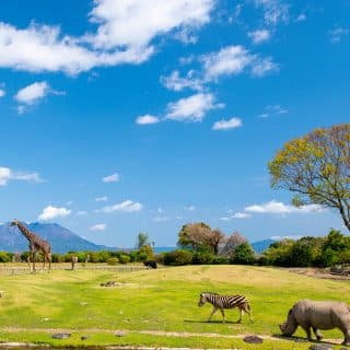 鹿児島市平川動物公園