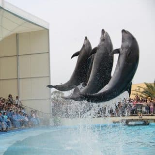 南知多ビーチランド