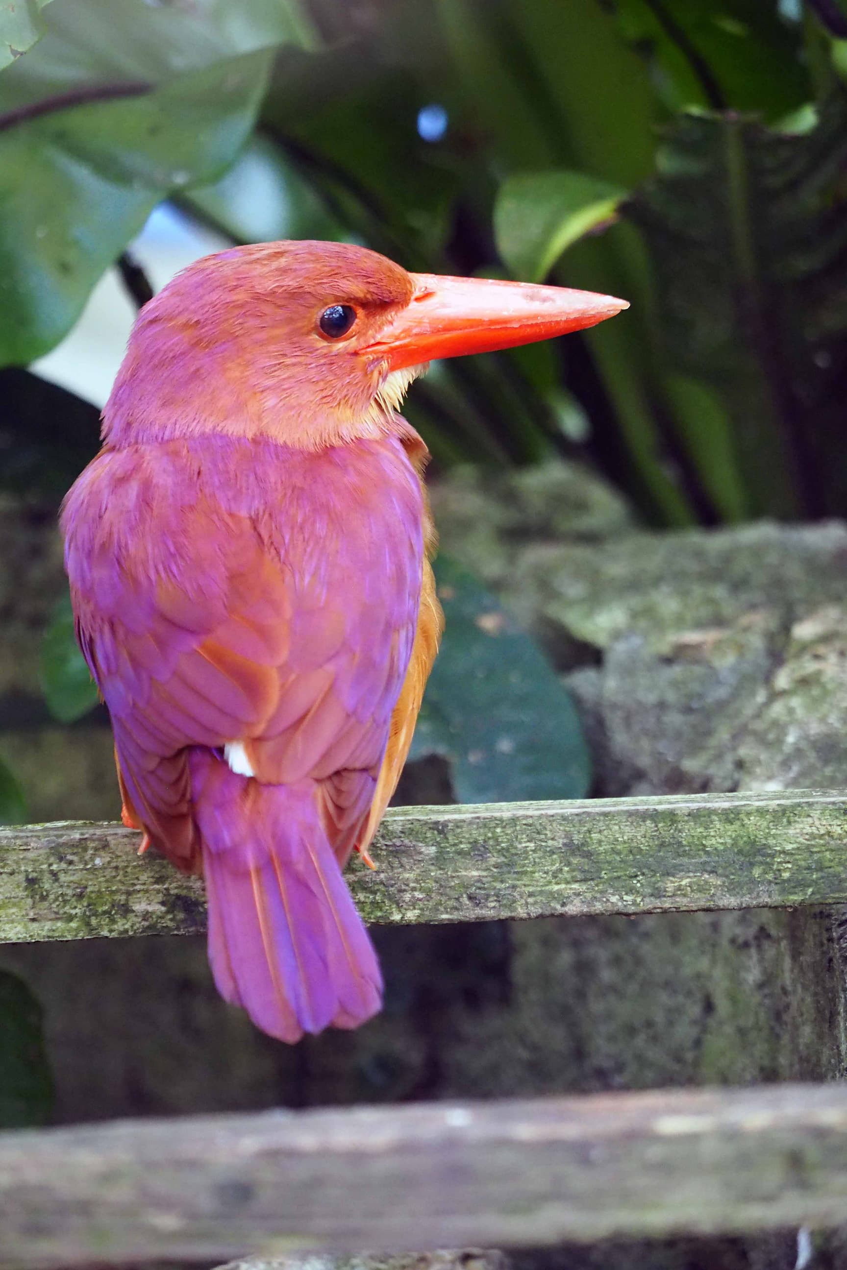 沖縄こどもの国