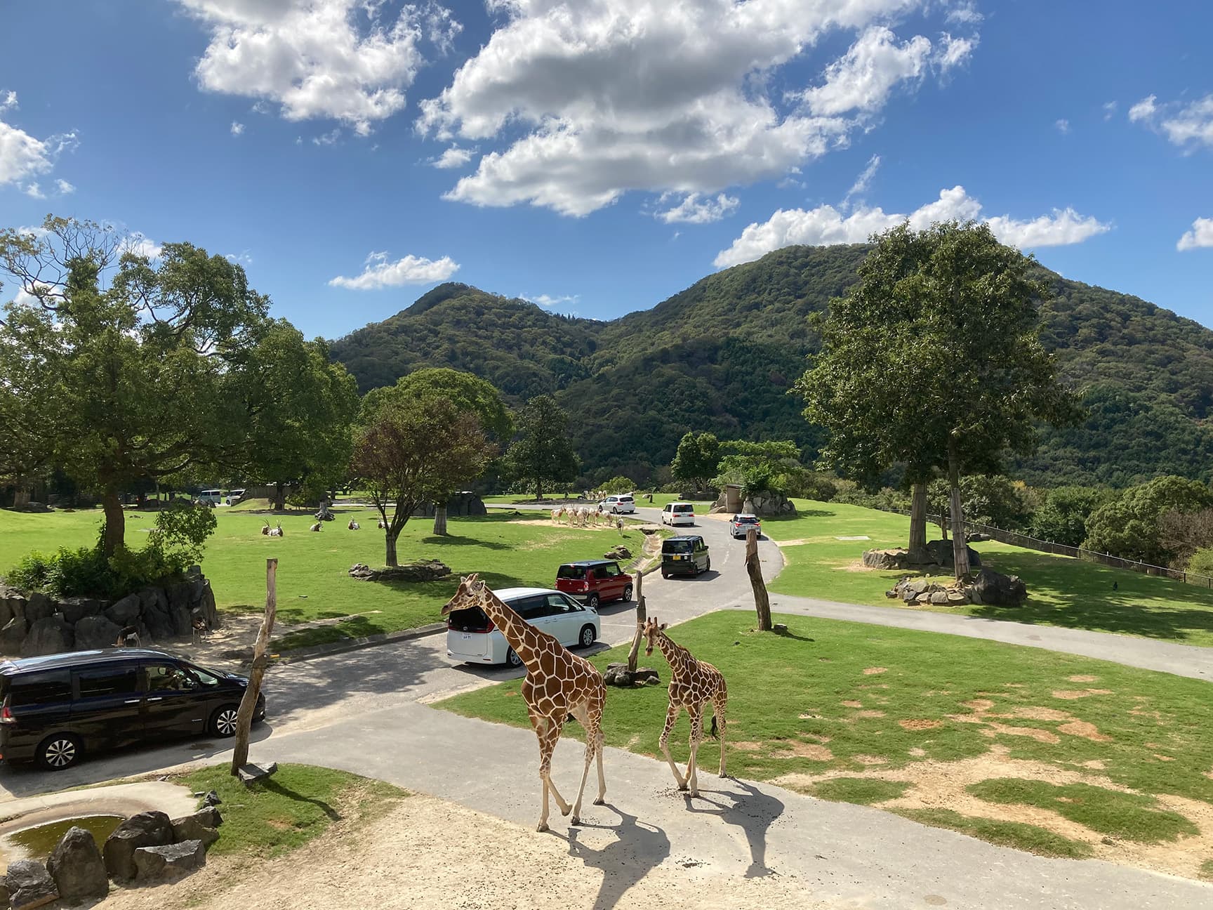 サファリリゾート姫路セントラルパーク