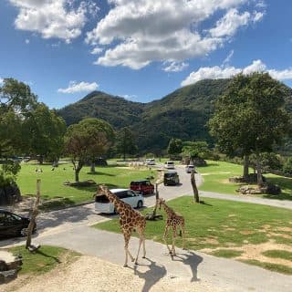 サファリリゾート姫路セントラルパーク