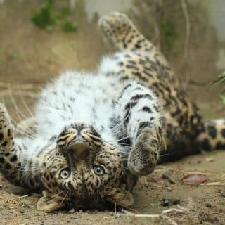 いしかわ動物園